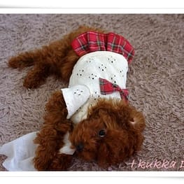 リボンワンピース