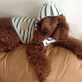 パーカー/トレーナー