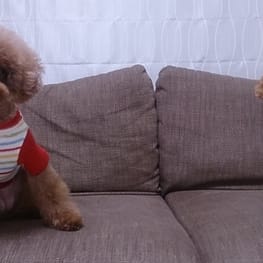 スカート/サロペット