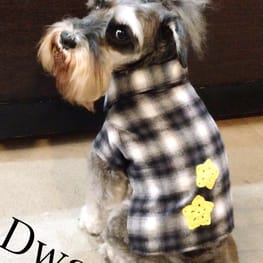 うさぎ/パンダ変身コスチューム