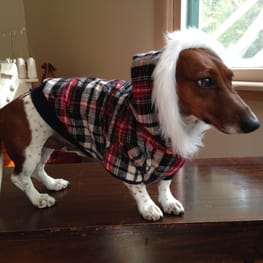 スカート/サロペット