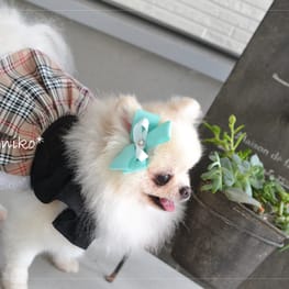 ラグランタンク・ラグランワンピ