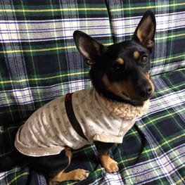 みんなのTシャツ