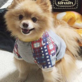 ベーシックラグランTシャツ