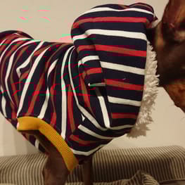 ダウンジャケット