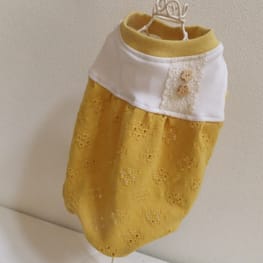 ベーシックラグランTシャツ