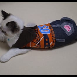 パーカー/トレーナー