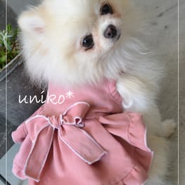 ベーシックラグランTシャツ