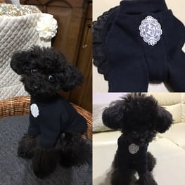 ベーシックラグランTシャツ