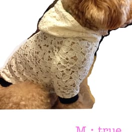 サニタリー・マナーパンツ