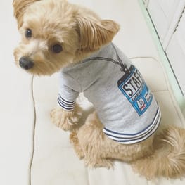 トレーナー・3Wayパーカー