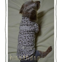 ダウンジャケット