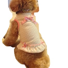 サニタリー・マナーパンツ