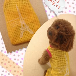 ベーシックラグランTシャツ