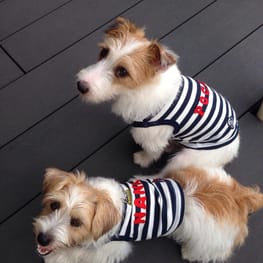 randymikioさんの作品