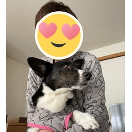 みんなのTシャツ