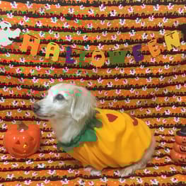 LOVE0612さんの作品