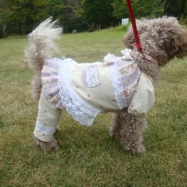 かさたんさんの作品