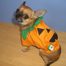 カバーオール(つなぎ)