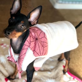 オーバーレインコート