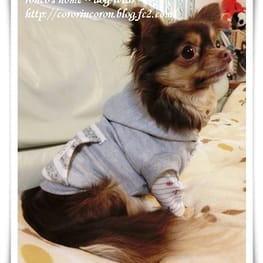 トレーナー・3Wayパーカー