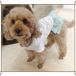 パーカー/トレーナー