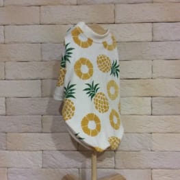 ベーシックラグランTシャツ