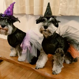 ダウンジャケット