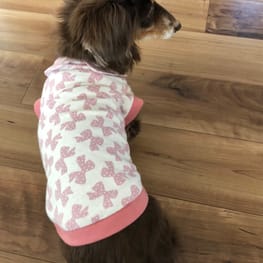 ベーシックラグランTシャツ