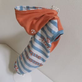 ベーシックラグランTシャツ