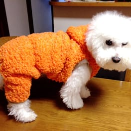 パーカー/トレーナー