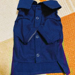 ノラあざらしさんの作品