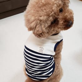 スモック/チュニック