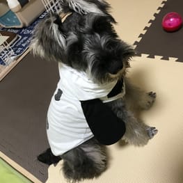 トレーナー・3Wayパーカー