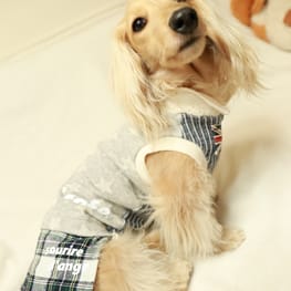 パーカー/トレーナー