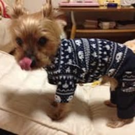 カバーオール(つなぎ)