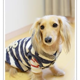 ダウンジャケット