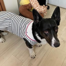 みんなのTシャツ