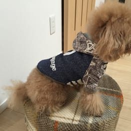 ダウンジャケット