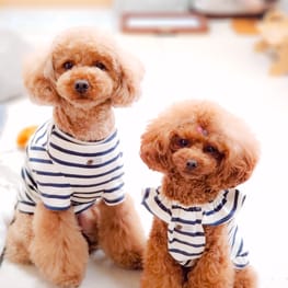 スモック/チュニック