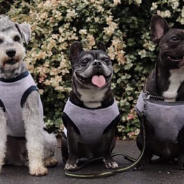 トレーナー・3Wayパーカー