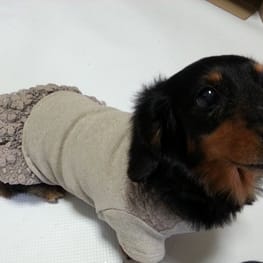 ベーシックタンクトップ&Tシャツ