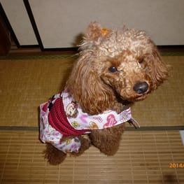 パンツ/サロペット