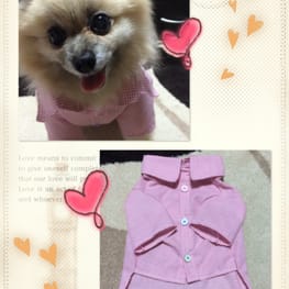 ドッグスリング