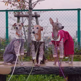 カバーオール(つなぎ)