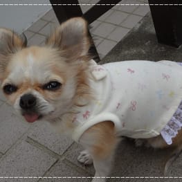 じゅんさんの作品