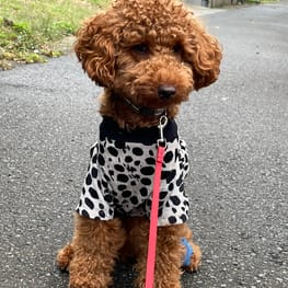 カバーオール(つなぎ)