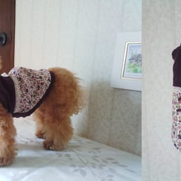 ラグランタンク・ラグランワンピ