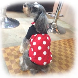 バルーンブラウス