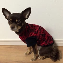 ダウンジャケット